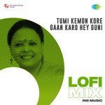 Tumi Kemon Kore Gaan Karo Hey Guni Lofi Mix Poster