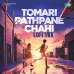 Tomari Pathpane Chahi Lofi Mix Poster