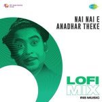 Nai Nai E Anadhar Theke Lofi Mix Poster