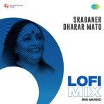 Srabaner Dharar Mato Lofi Mix Poster