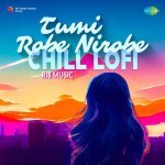 Tumi Robe Nirobe Chill Lofi Poster