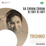 Ga Chham Chham Ki Hoy Ki Hoy Techno Mix Poster