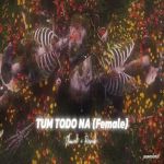 Tum Todo Na Dil Mera Slowed Poster