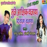 Cg Song Tune Ashiq Banaya Diwana Banaya Poster