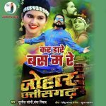 Kar Dare Bas Ma Re From Johar Chhattisgarh Poster