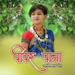 Pipar Pana Chhattisgarhi Geet Aaru Sahu Poster