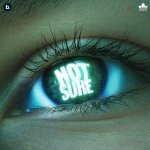 Not Sure Poster