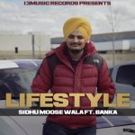 Life Style Poster