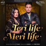 Teri Life Meri Life Poster