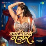 Hamar Tirchhi Najar Poster